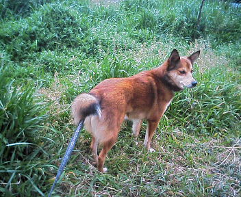 07030503.jpg
