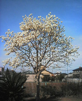 07030602.jpg