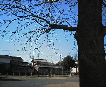 07030901.jpg