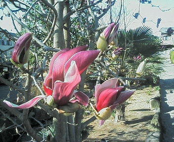 07030903.jpg