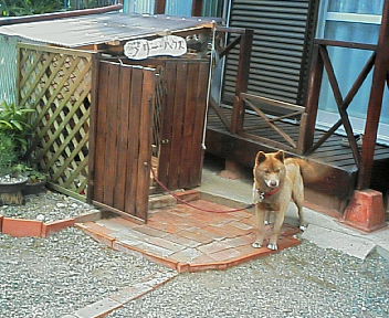 07030904.jpg