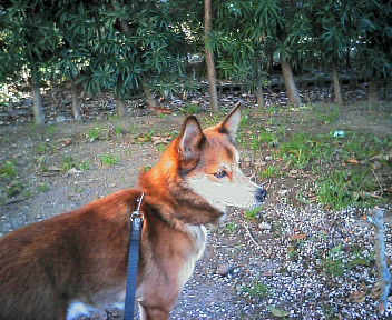 07030905.jpg