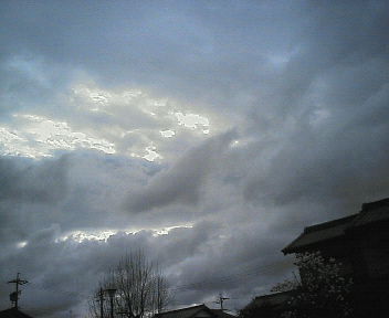 07031101.jpg