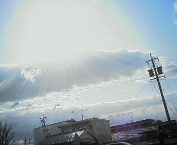 07031103.jpg