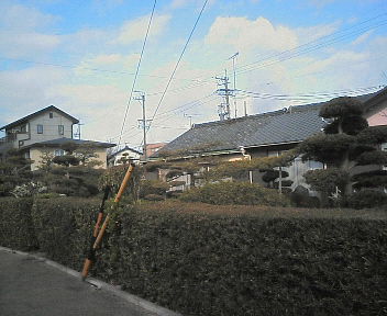 07031202.jpg