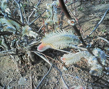 07031203.jpg