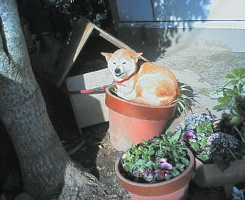 07031205.jpg