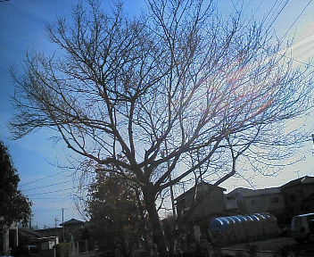 07031301.jpg
