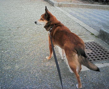07031302.jpg