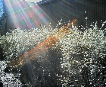 07031901.jpg