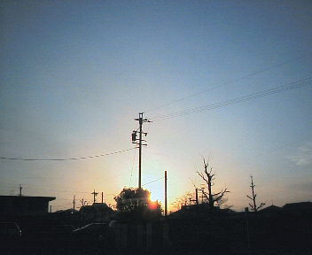 07031902.jpg