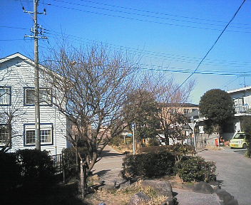 07032001.jpg