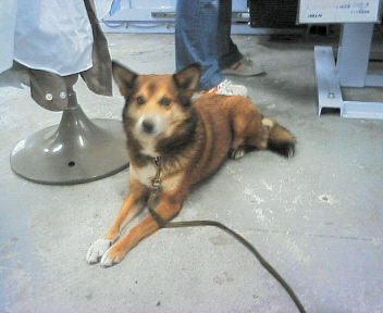 070422 005.jpg