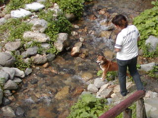 07062905.jpg