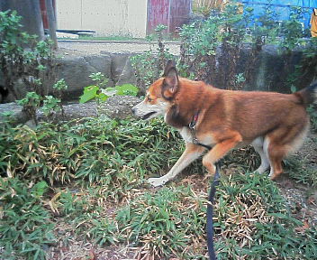 0709021.jpg