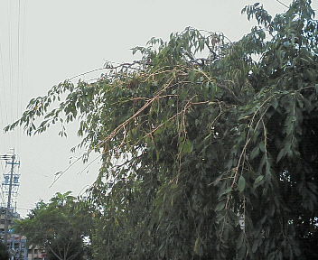 0709022.jpg