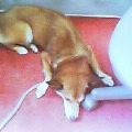 20050819_1114_001.jpg