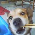 20050823_1221_000.jpg