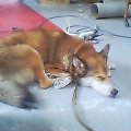 20050823_1238_000.jpg