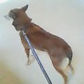 20050908_0915_000.jpg
