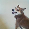 20050908_0915_001.jpg