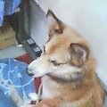 20050908_1114_000.jpg