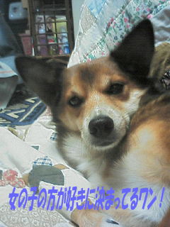 200511140832000.jpg
