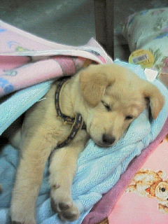 200601131930000.jpg