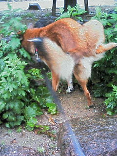 200605231718000.jpg