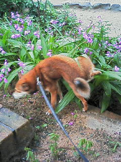200605231720000.jpg