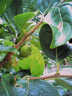 200606201714000.jpg
