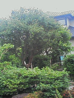200606201724001.jpg