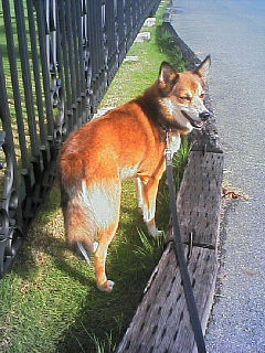200609150815000.jpg