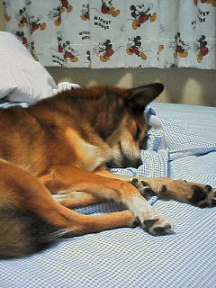 200610052237000.jpg