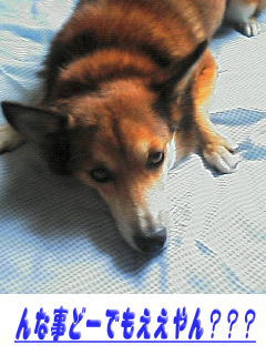 200610110818000.jpg
