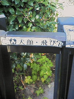 200611130905000.jpg