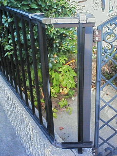 200611130905000.jpg