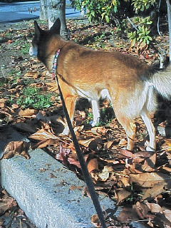 200612100859000.jpg