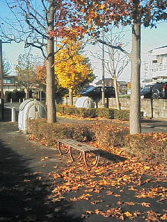 200612100906000.jpg