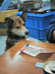 200612261356000.jpg
