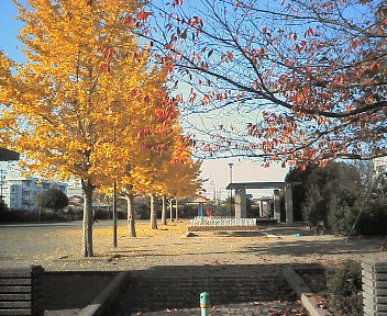 2007-1126 012.jpg