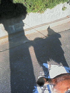 200701300828000.jpg