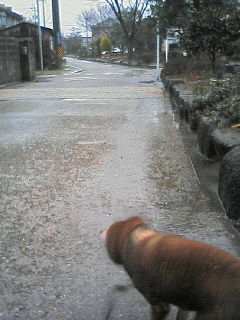 200702230824000.jpg