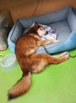 20130719_143507.jpg