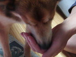 P1010043.jpg