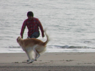 P3080007.jpg