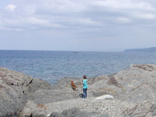 P5050058.jpg