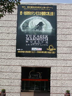 P5310128.jpg