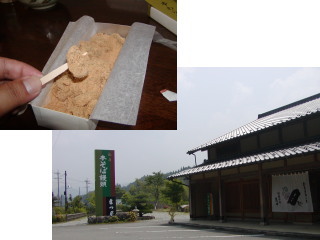 matsutuki.jpg