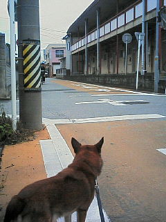 200610050814000.jpg